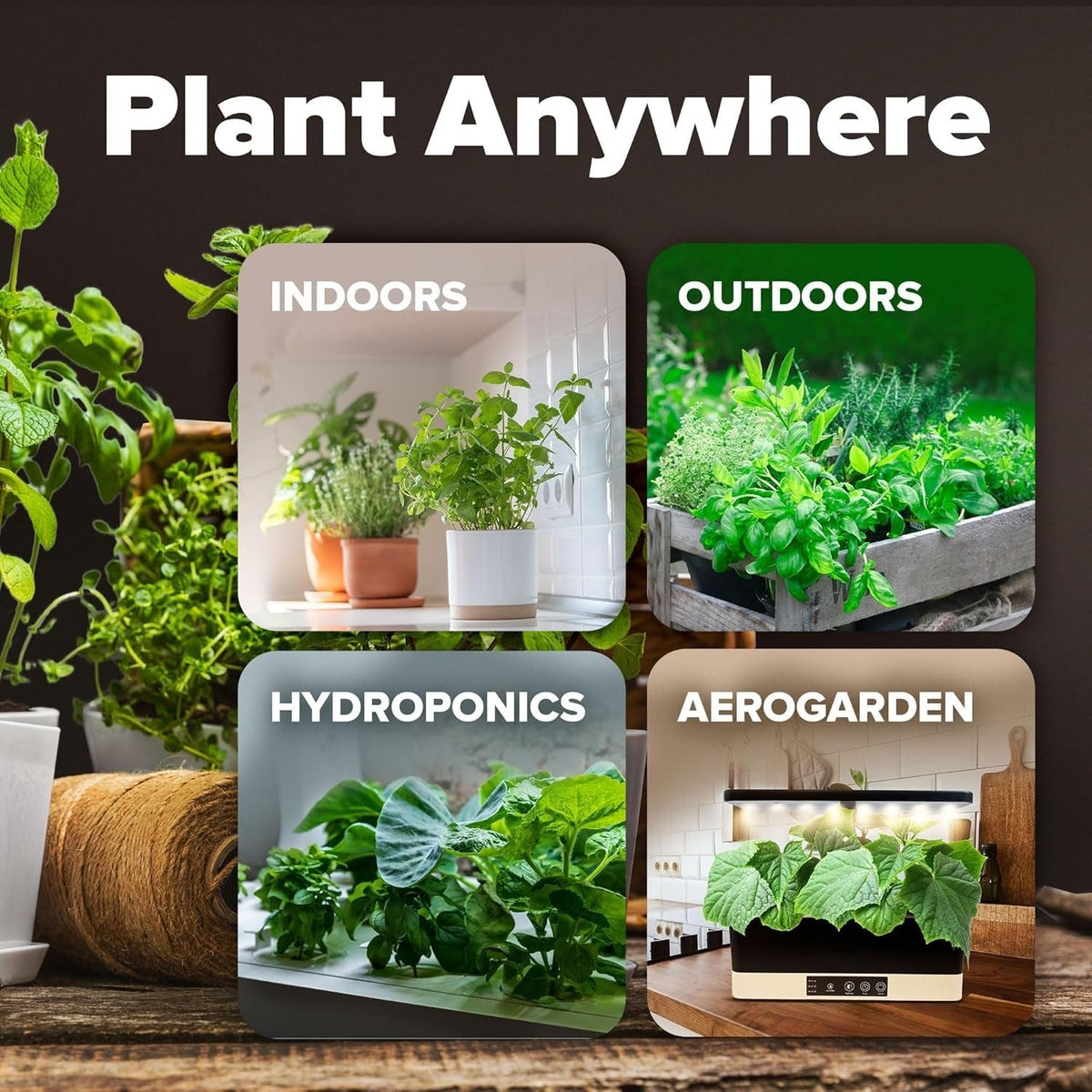Heirloom Vegetable Seeds - (10 Variety)
