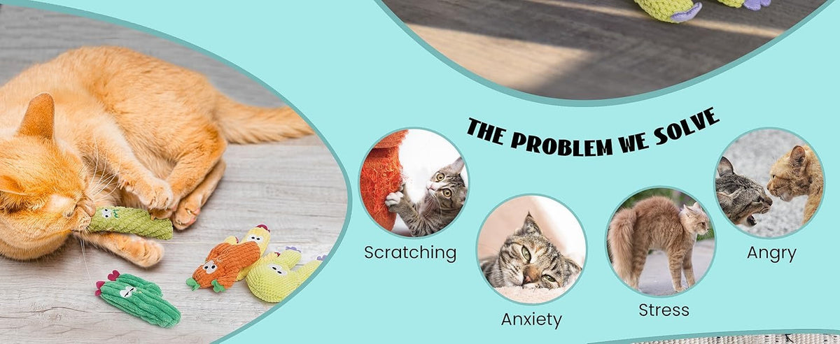 đ” 5 Pack Cactus Cat Toy Set â 100% Premium Cat Herb Filling, Natural Stimulation, Durable for Teething & Play