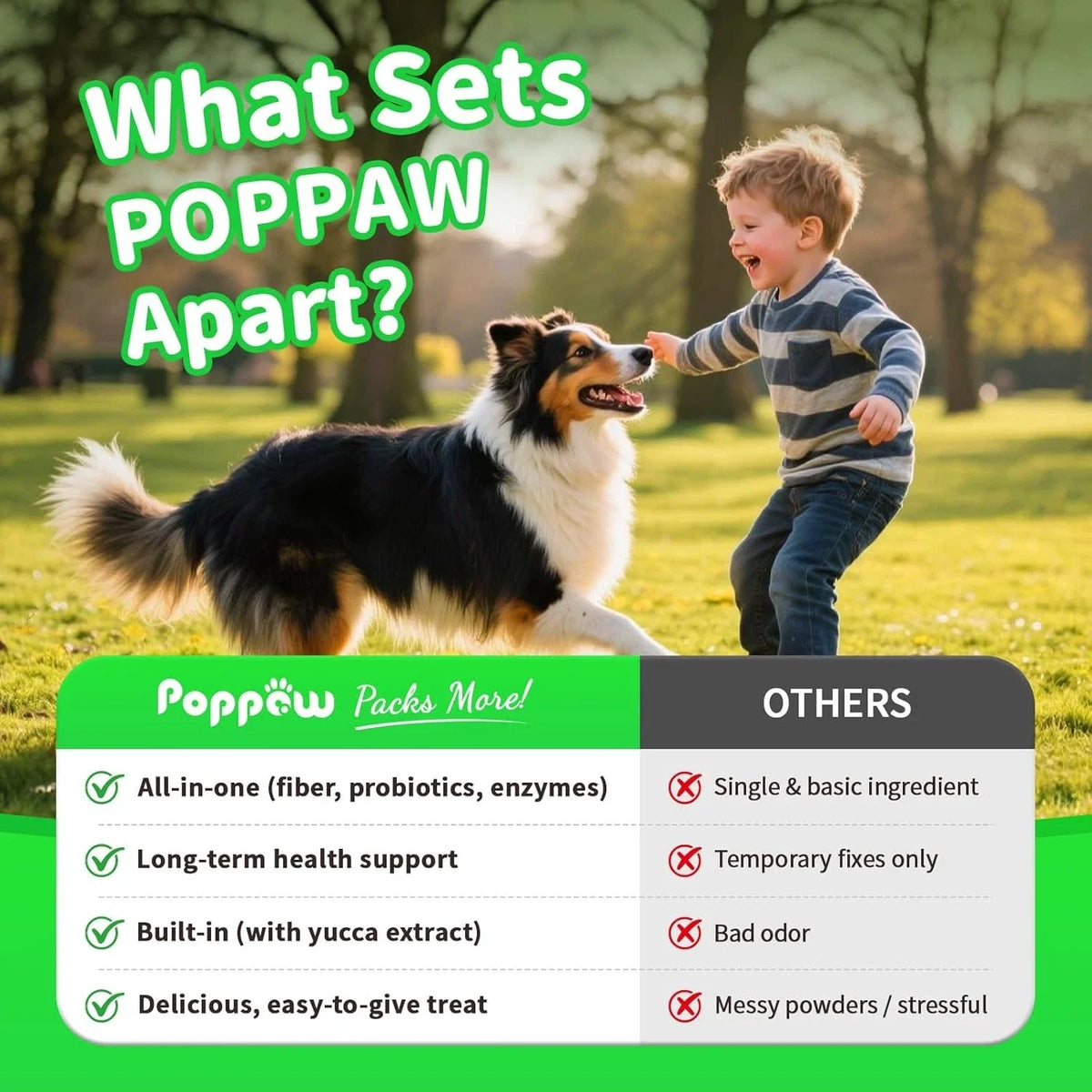 Dog Probiotics Digestive Enzymes,Pumpkin Fiber Chews For Gut Health, Constipatio