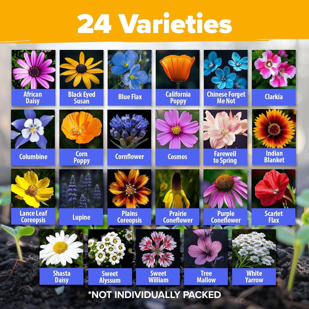 North American Wildflower Seed Mix - 24 Varieties (3 oz)