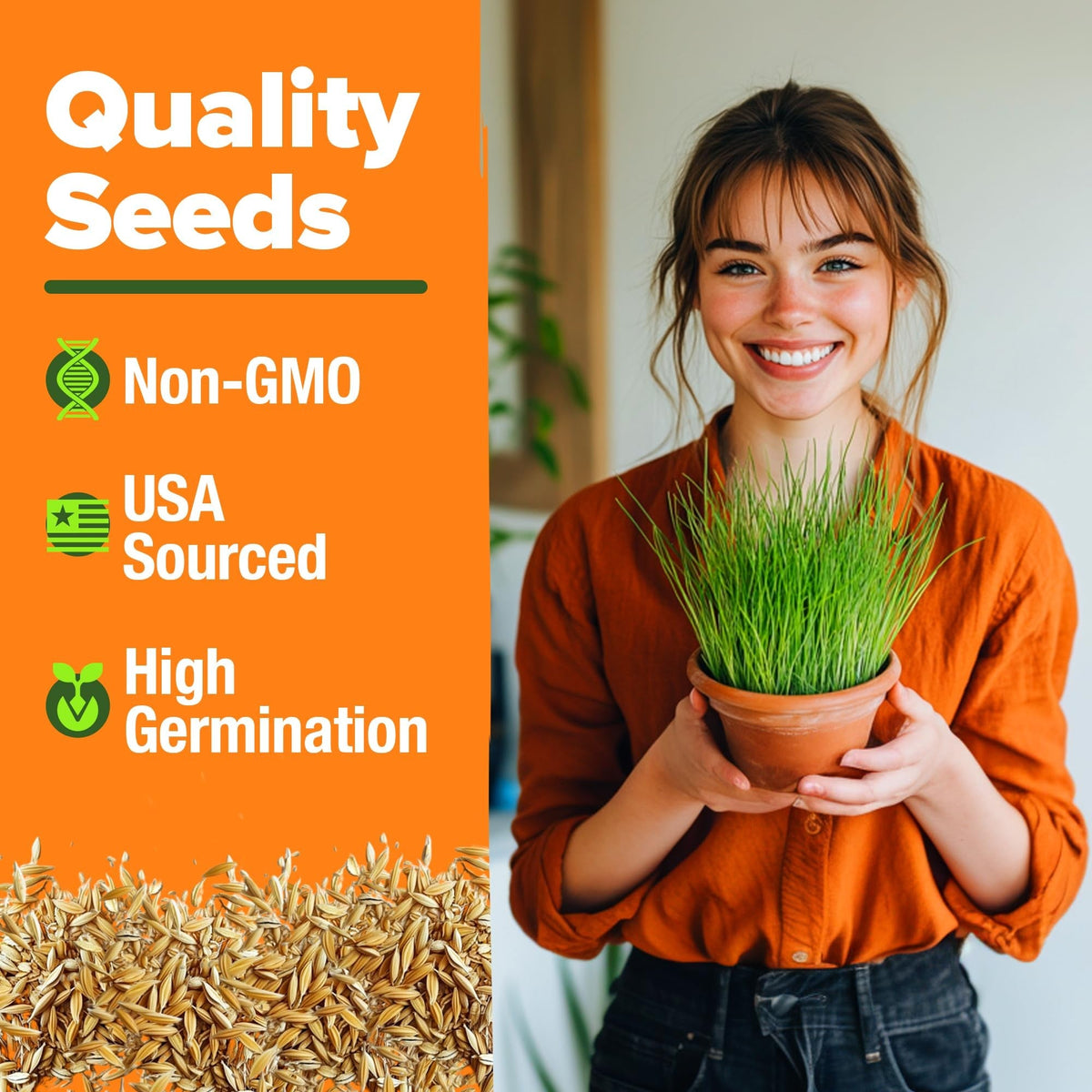 Cat Grass Seeds Bulk
