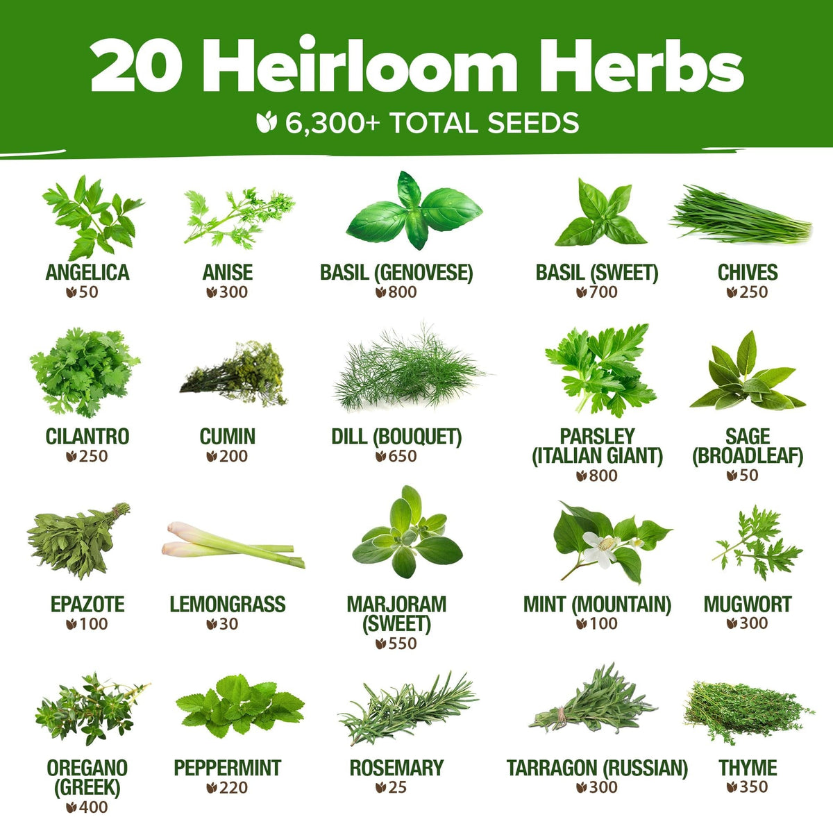 Culinary Herb Seed Vault - (20 Variety)