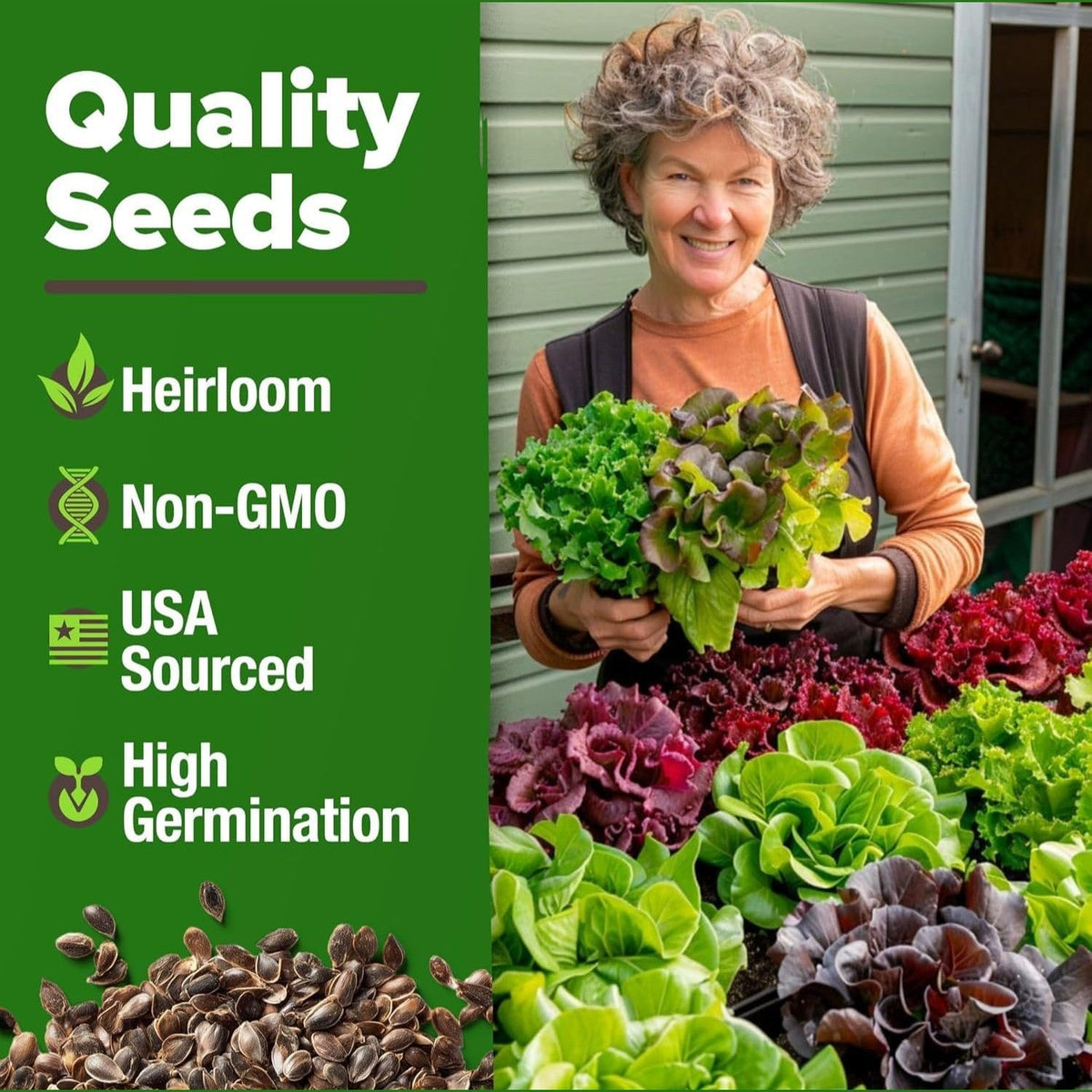 Lettuce and Leafy Greens Seeds - (8 Variety)