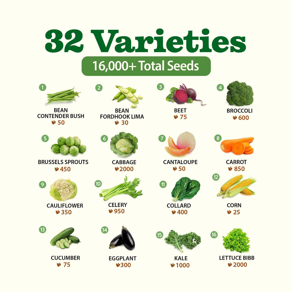 Heirloom Vegetable Seeds - (32 Variety)