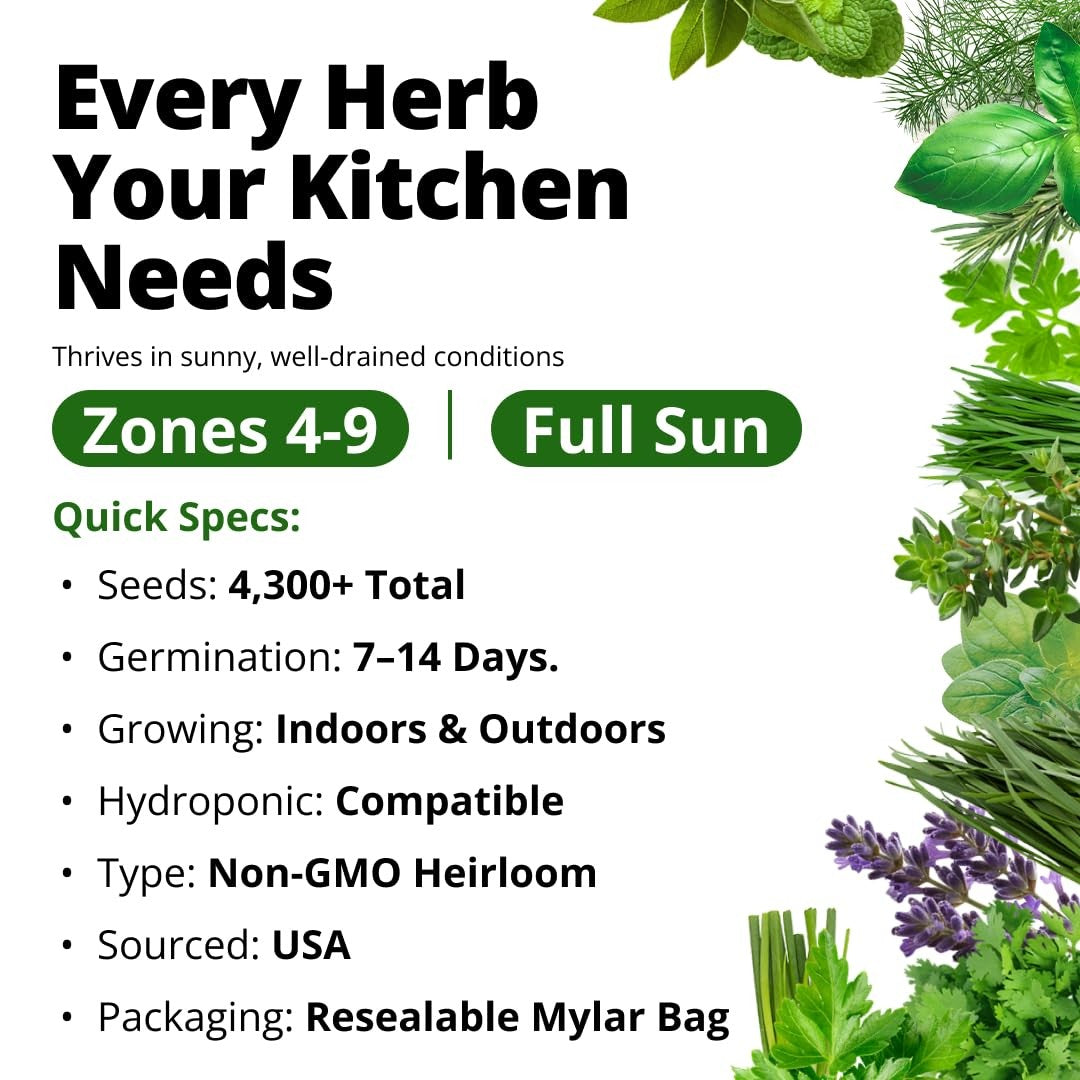 Culinary Herb Seed Vault - (15 Variety)