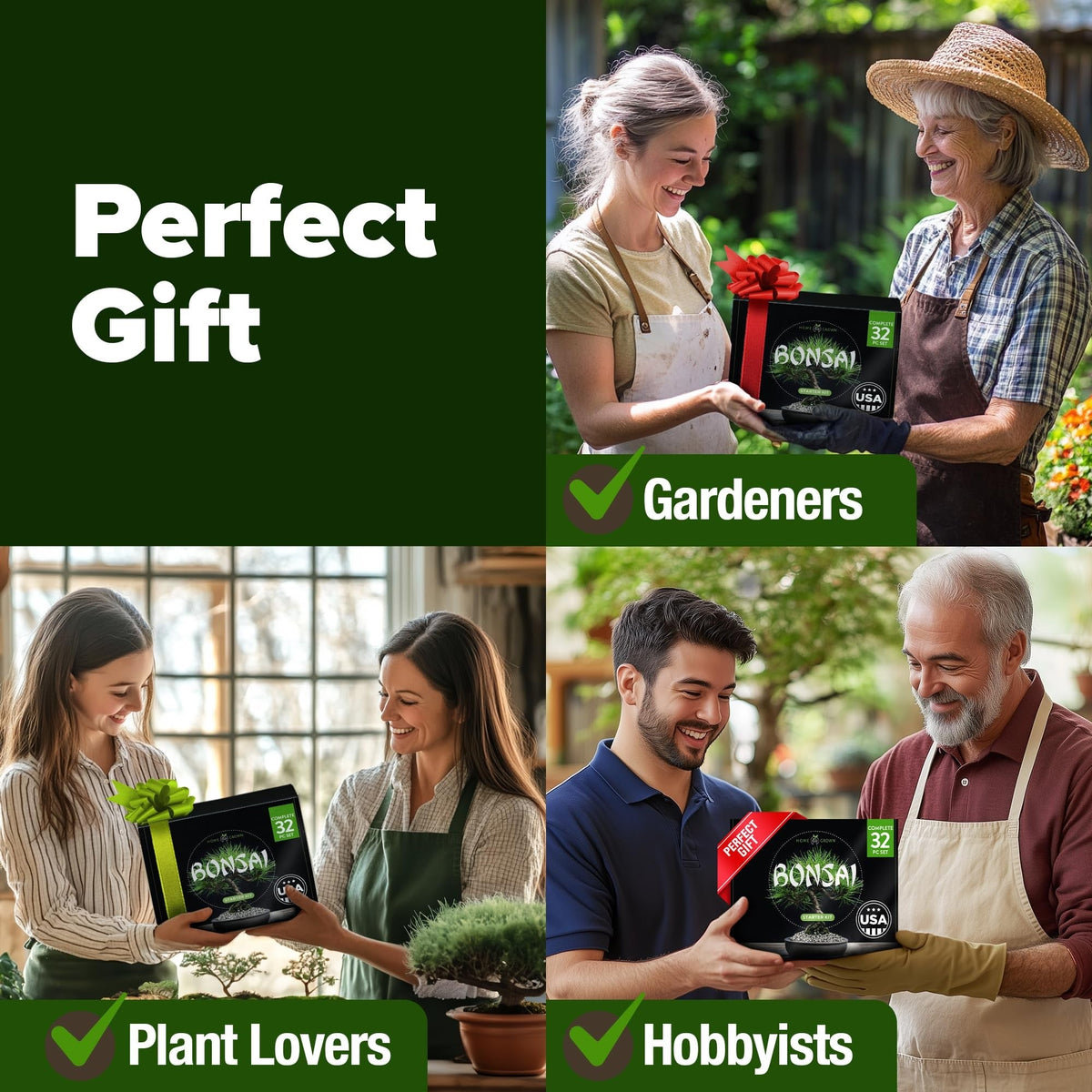 Bonsai Tree Grow Kit