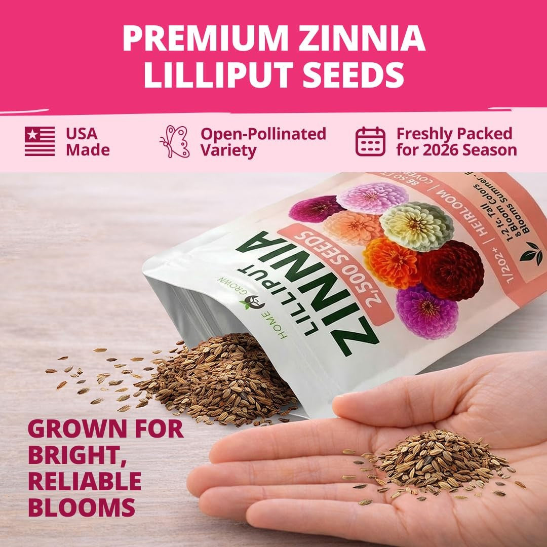 Lilliput Mix Zinnia Seeds - 2,500 Seeds (1/2oz) - Petite Pompom Blooms