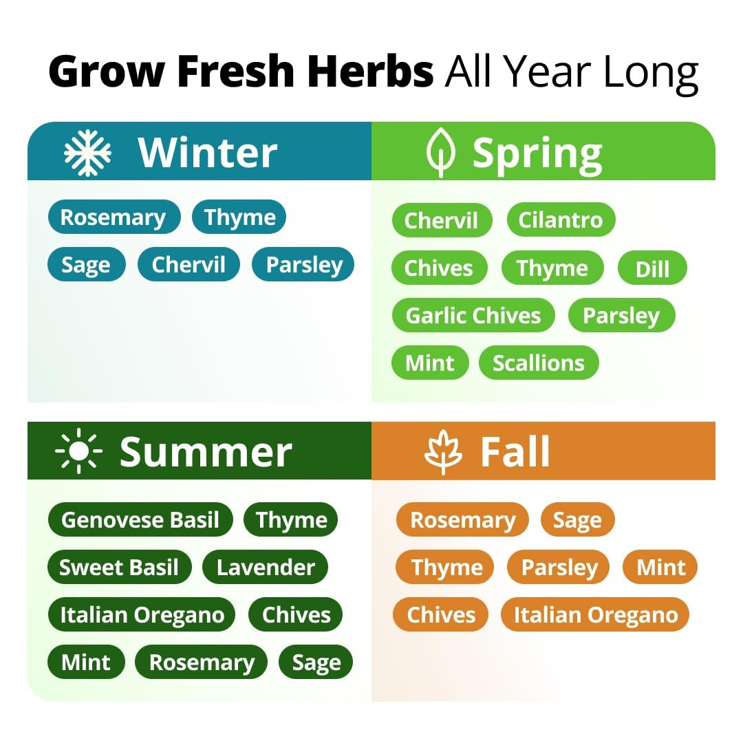 Culinary Herb Seed Vault - (15 Variety)
