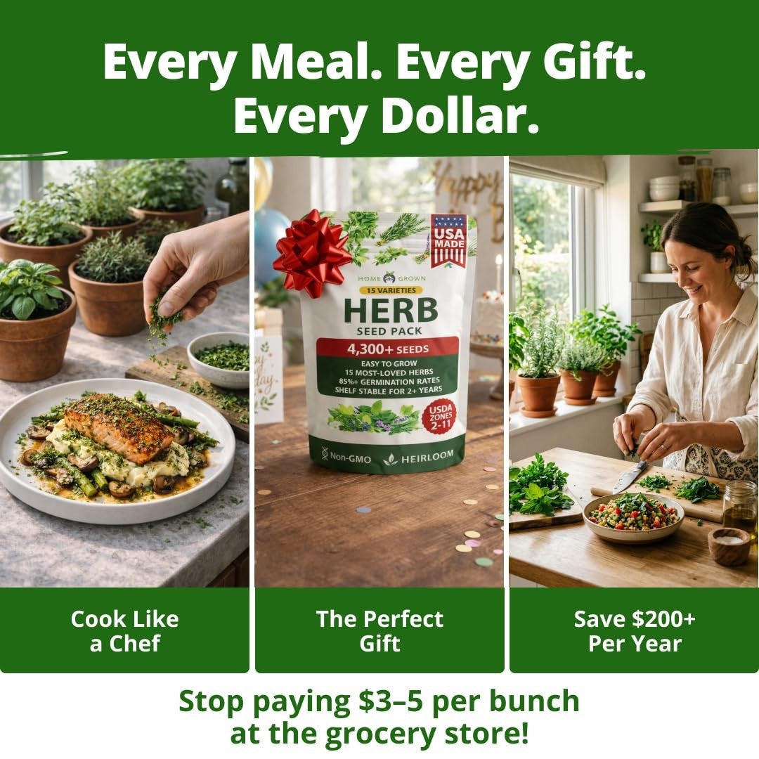 Culinary Herb Seed Vault - (15 Variety)