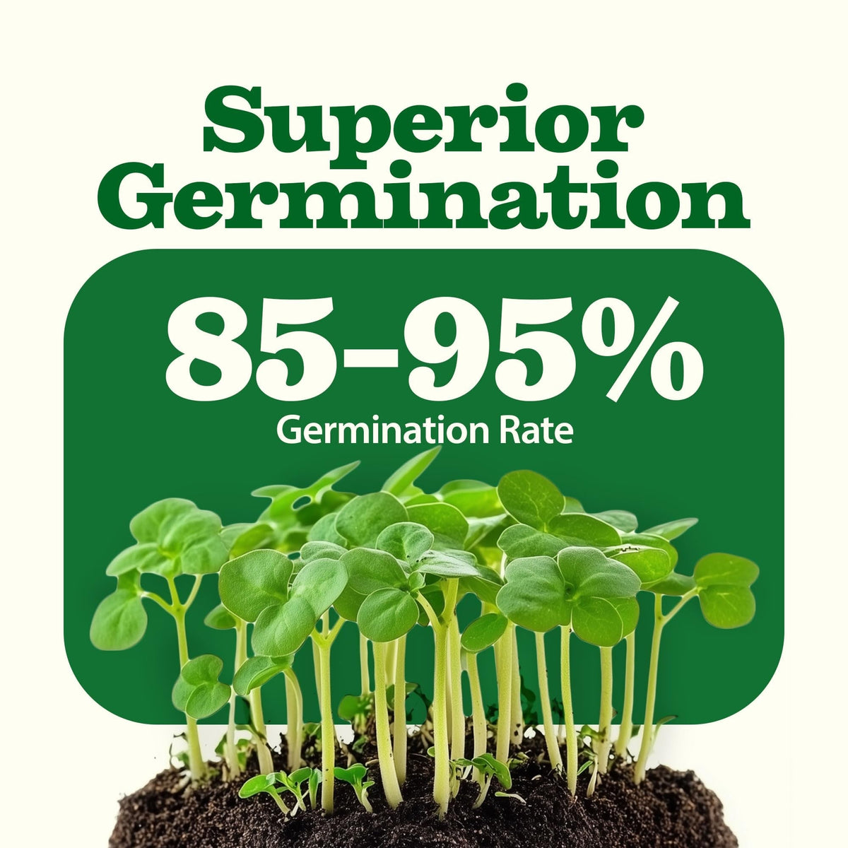 Heirloom Vegetable Seeds - (55 Variety)