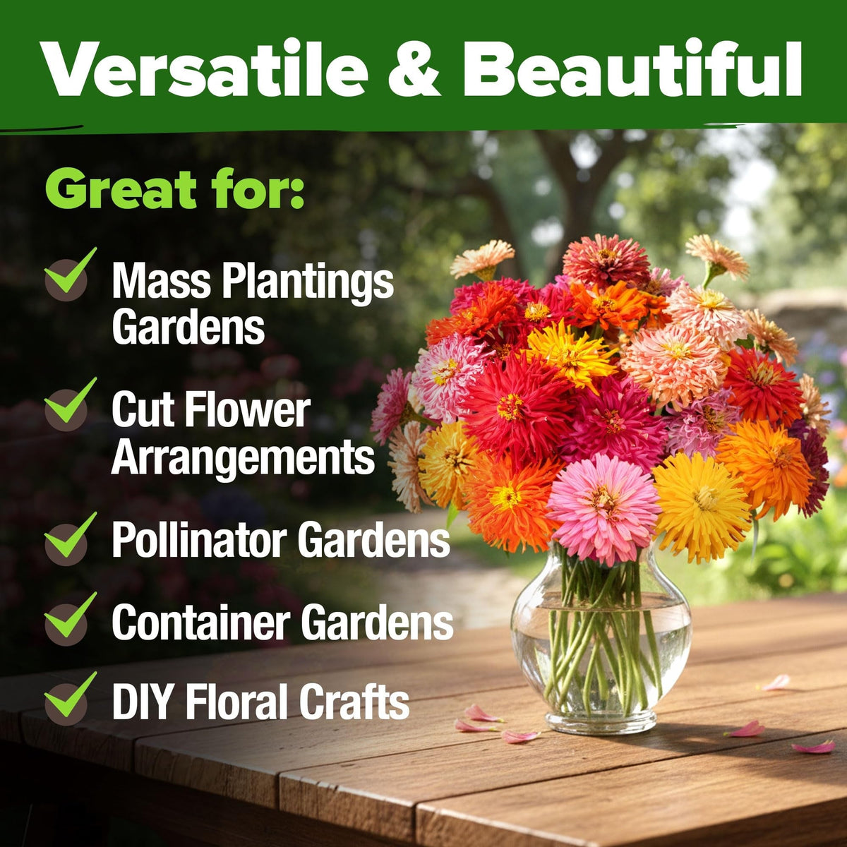 Cactus Mix Zinnia Seeds - 5,550 Seeds - Large Cut-Flower Blooms (1.5oz)