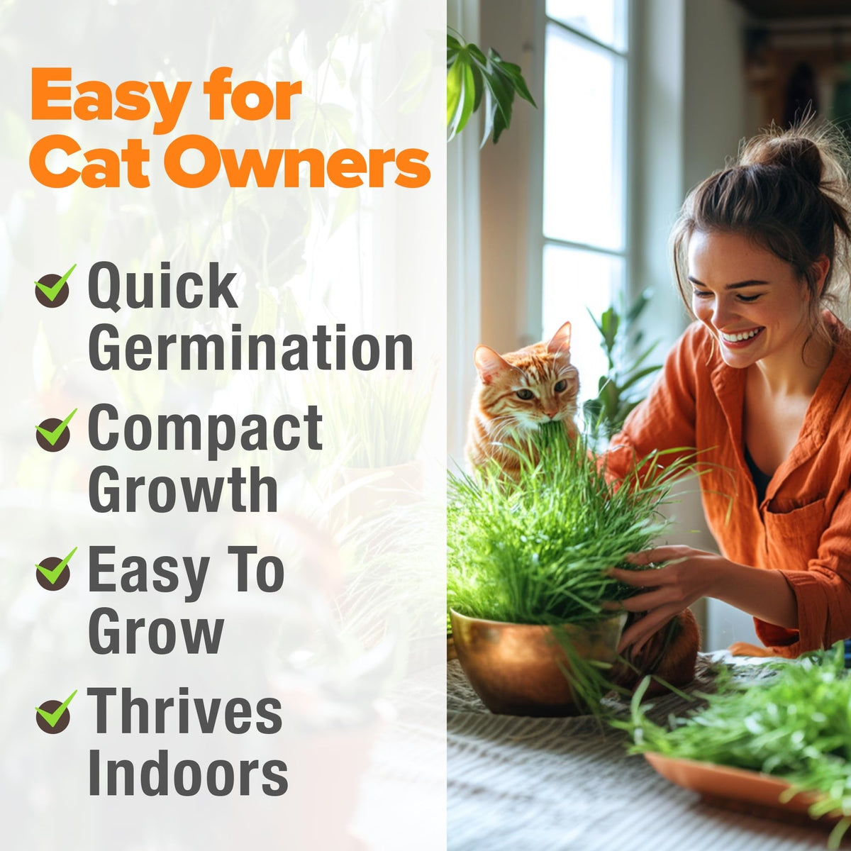 Cat Grass Seed Pack - 4 Varieties - USA-Harvested