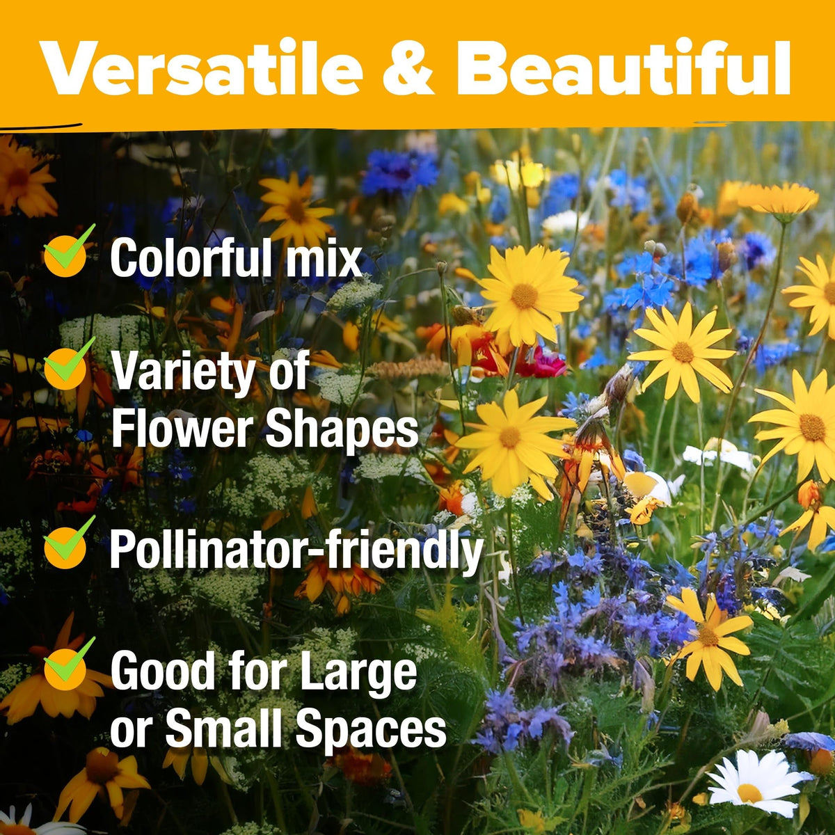 North American Wildflower Seed Mix - 24 Varieties (3 oz)