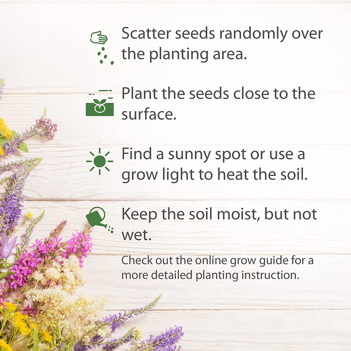 Perennial Wildflower Seed Mix - 18 Varieties (3 oz) - No Filler