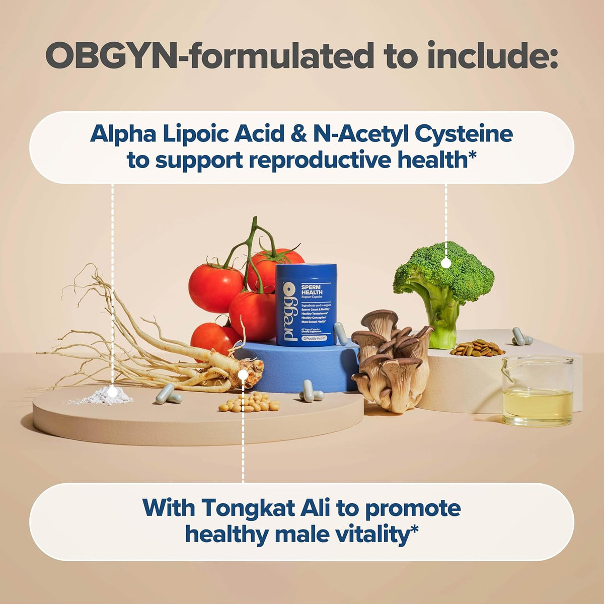 Sperm Health Capsules for Men - OBGYN-Formulated for Improved Sperm Count & Motility 60 Count (Pack of 1)
