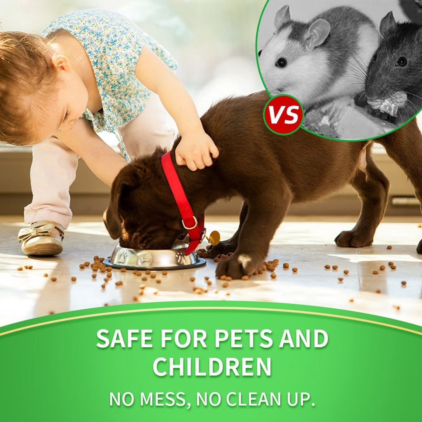 12 Pcs Mouse & Rodent Repellent