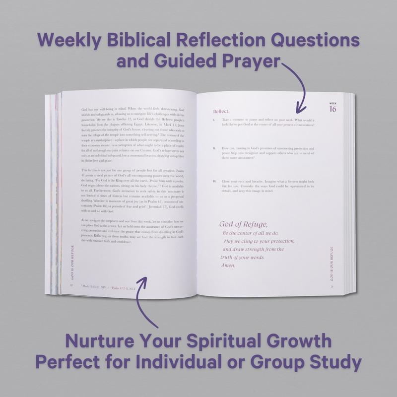 A Beautiful Year in the Bible – 52-Week Bible Study for Women (Softcover)