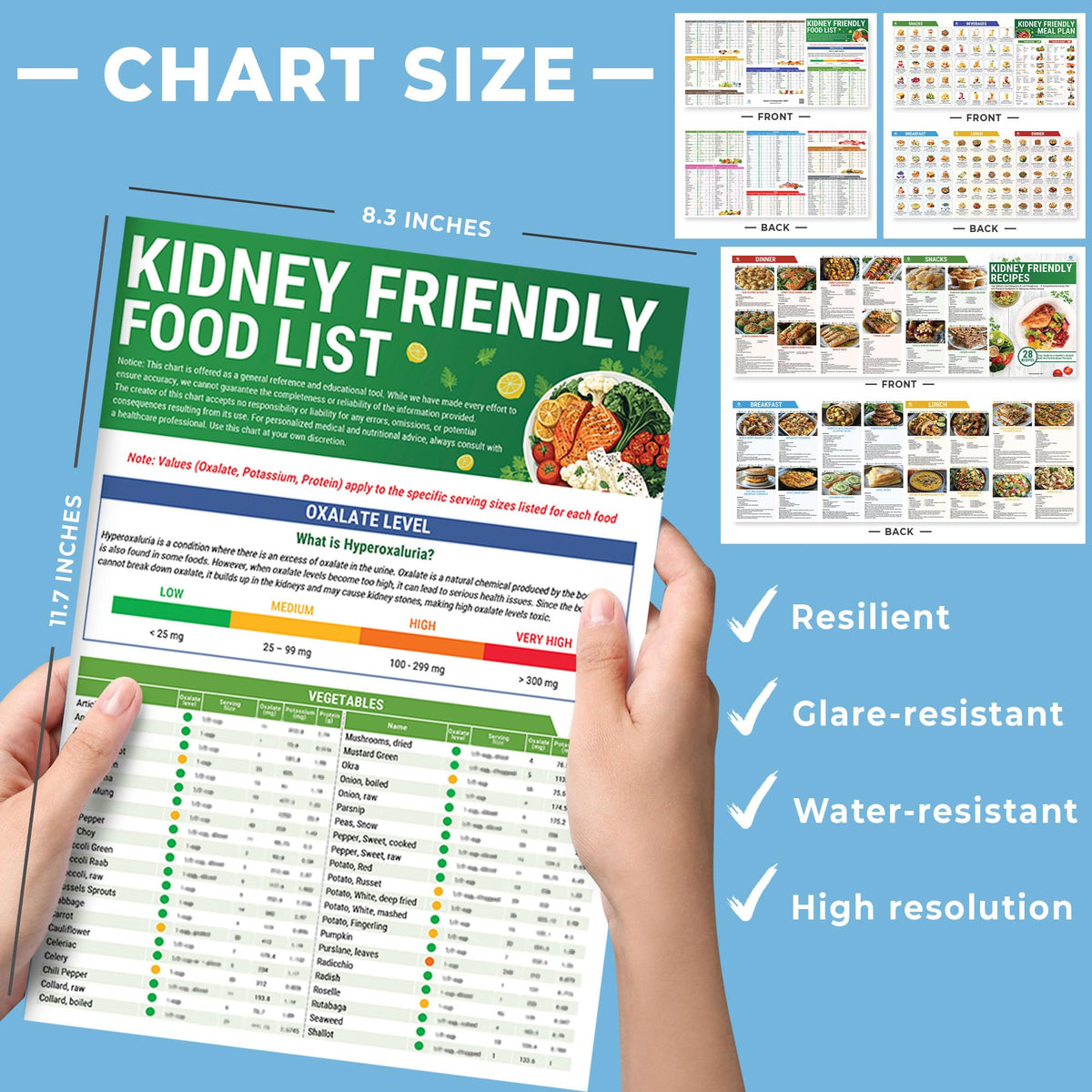 HAMIEW Set 3 Kidney Friendly Food List Chart – Renal Diet Meal Plan & Kidney Recipe Guide