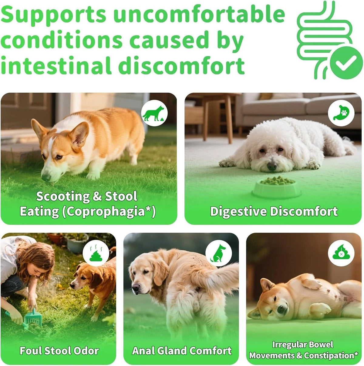 Dog Probiotics Digestive Enzymes,Pumpkin Fiber Chews For Gut Health, Constipatio