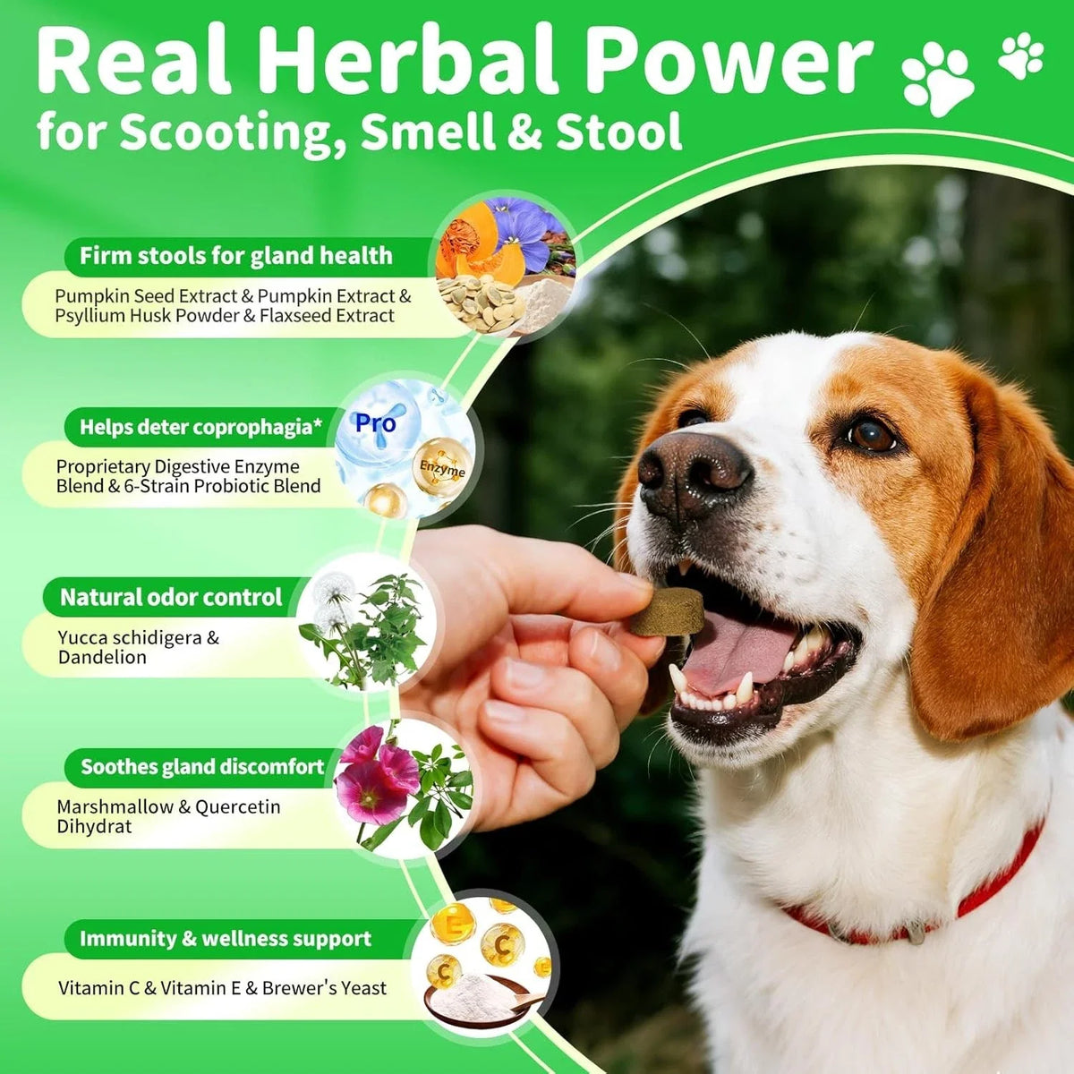 Dog Probiotics Digestive Enzymes,Pumpkin Fiber Chews For Gut Health, Constipatio