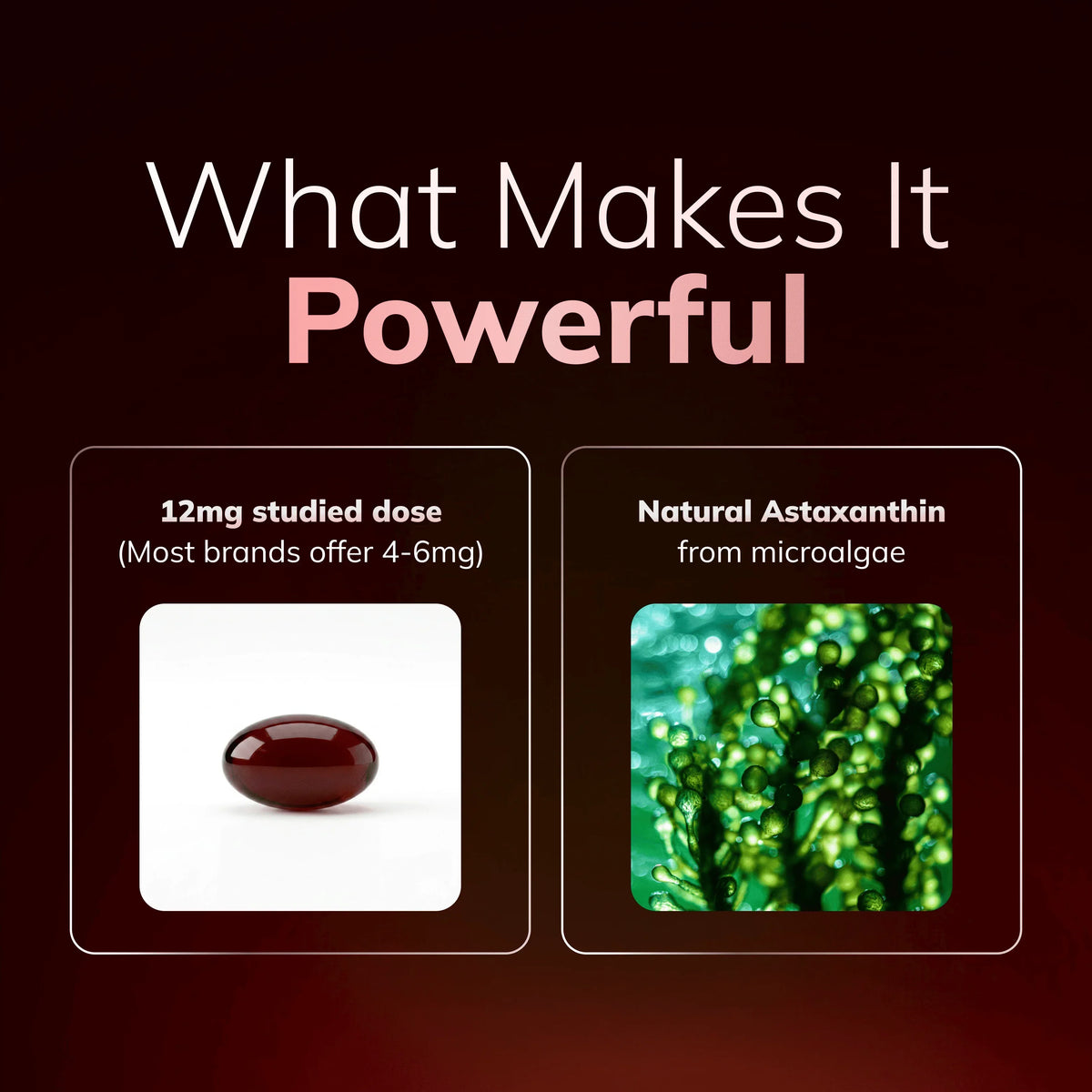 ROVINA Astaxanthin 12mg Softgels – Triple Strength Natural Microalgae Antioxidant, 60 Count